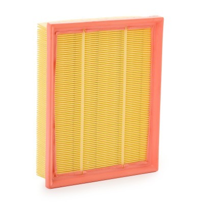 Luftfilter RIDEX 8A1720 8A1720 - foto 2
