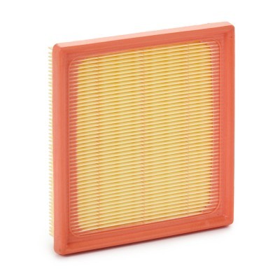 Luftfilter RIDEX 8A1668 8A1668 - foto 2