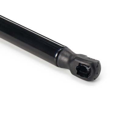 Gasfeder, Koffer-/Laderaum RIDEX 219G0004 219G0004 - foto 11