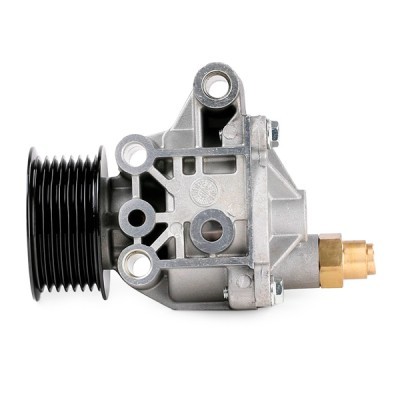 Unterdruckpumpe RIDEX 387V0012 387V0012 - foto 5
