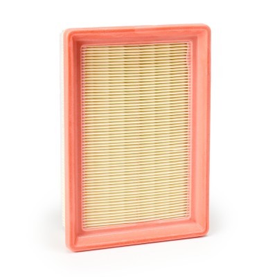Luftfilter RIDEX 8A1856 8A1856 - foto 2