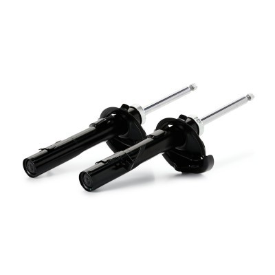 Stoßdämpfer RIDEX 854S0884 854S0884 - foto 5
