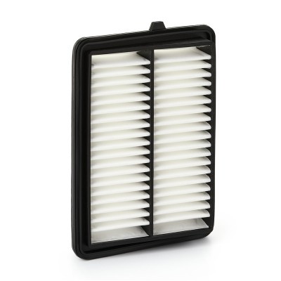 Luftfilter RIDEX 8A1171 8A1171 - foto 2