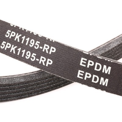 Keilrippenriemen RIDEX 305P0550P 305P0550P - foto 5