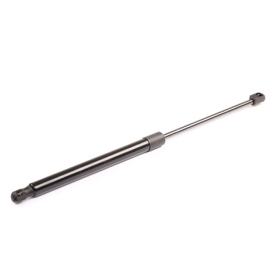 Gasfeder, Koffer-/Laderaum RIDEX 219G0048 219G0048 - foto 8