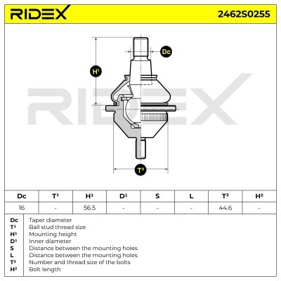 Traggelenk RIDEX 2462S0255 2462S0255 - foto 5