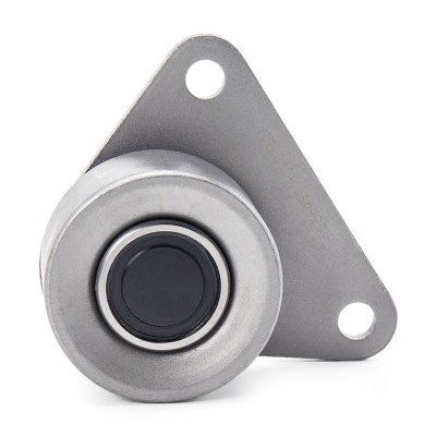 Umlenk-/Führungsrolle Zahnriemen RIDEX 313D0046 313D0046 - foto 5