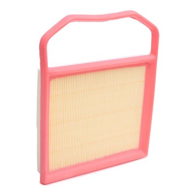 Luftfilter RIDEX 8A1198 8A1198 - foto 3