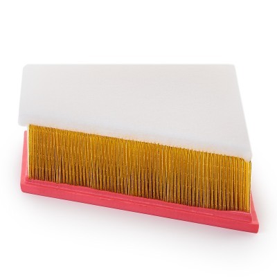 Luftfilter RIDEX 8A1056P 8A1056P - foto 5
