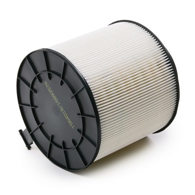 Luftfilter RIDEX 8A1645 8A1645 - foto 4