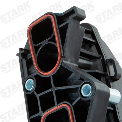 Ansaugkrümmer Stark SKFIM-3160026 SKFIM-3160026 - foto 5