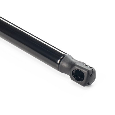 Gasfeder, Koffer-/Laderaum RIDEX 219G0905 219G0905 - foto 10