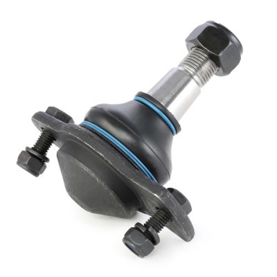 Traggelenk RIDEX 2462S0243 2462S0243 - foto 6