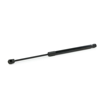 Gasfeder, Koffer-/Laderaum RIDEX 219G0197 219G0197 - foto 9