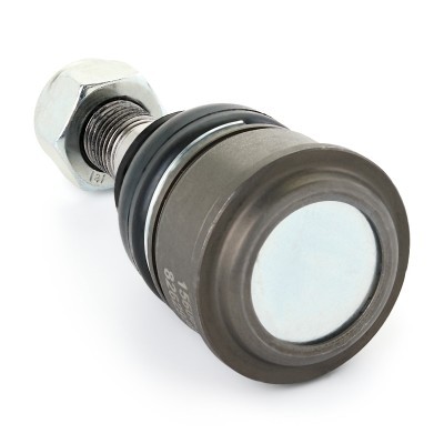 Traggelenk RIDEX 2462S0229 2462S0229 - foto 4