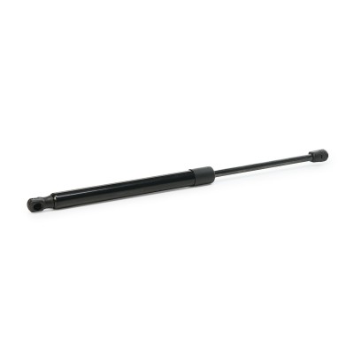 Gasfeder, Koffer-/Laderaum RIDEX 219G0023 219G0023 - foto 10