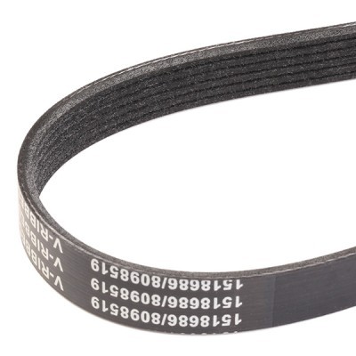 Keilrippenriemen RIDEX 305P0049 305P0049 - foto 3