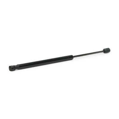 Gasfeder, Koffer-/Laderaum RIDEX 219G0347 219G0347 - foto 10