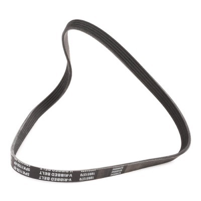 Keilrippenriemen RIDEX 305P0152P 305P0152P - foto 3