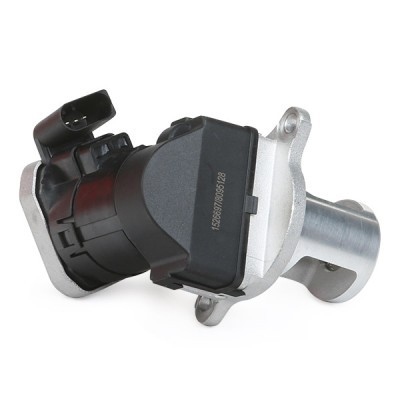 AGR-Ventil RIDEX 1145E0072 1145E0072 - foto 4