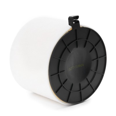 Luftfilter RIDEX 8A1434 8A1434 - foto 4