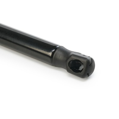 Gasfeder, Koffer-/Laderaum RIDEX 219G0313 219G0313 - foto 12
