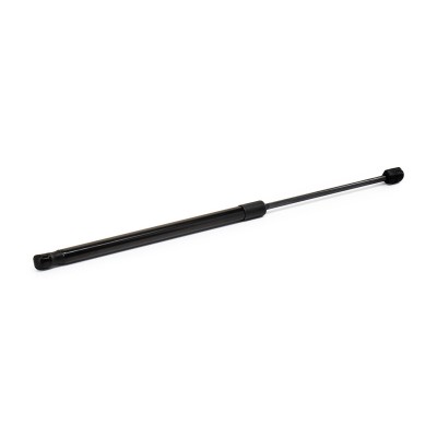 Gasfeder, Koffer-/Laderaum RIDEX 219G0389 219G0389 - foto 5