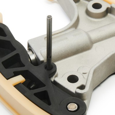 Steuerkettenspanner RIDEX 571T0021 571T0021 - foto 5