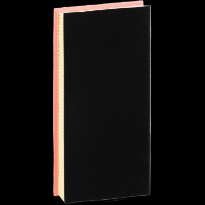 Luftfilter RIDEX 8A1613 8A1613 - foto 5