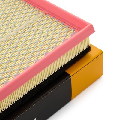 Luftfilter RIDEX 8A1099 8A1099 - foto 4