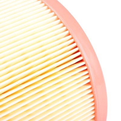 Luftfilter RIDEX 8A1664 8A1664 - foto 5
