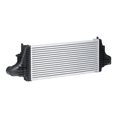 Ladeluftkühler RIDEX 468I0183 468I0183 - foto 4
