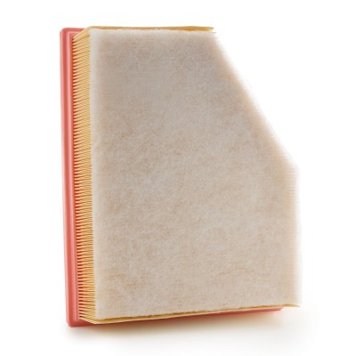 Luftfilter RIDEX 8A1338 8A1338 - foto 4