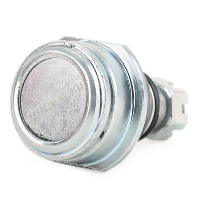 Traggelenk RIDEX 2462S0423 2462S0423 - foto 4