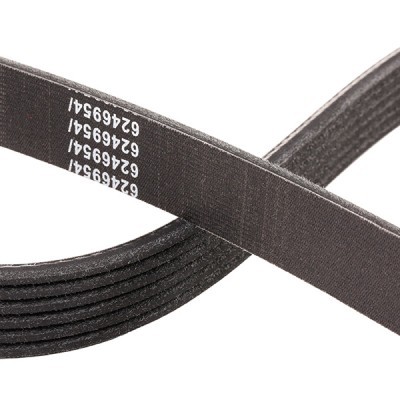 Keilrippenriemen RIDEX 305P0080P 305P0080P - foto 5