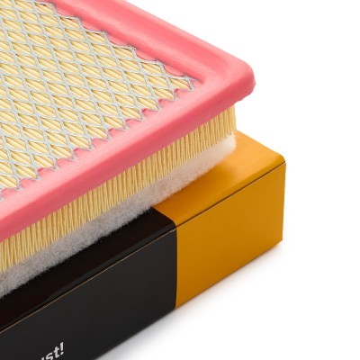 Luftfilter RIDEX 8A1176 8A1176 - foto 4