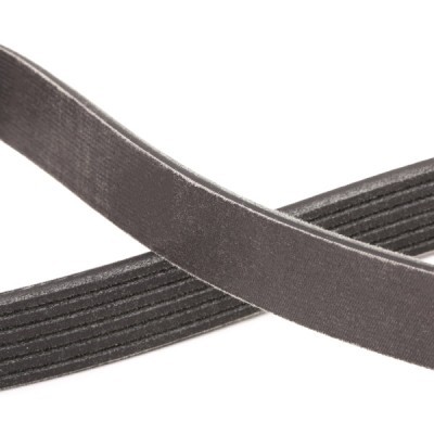 Keilrippenriemen RIDEX 305P0146P 305P0146P - foto 5