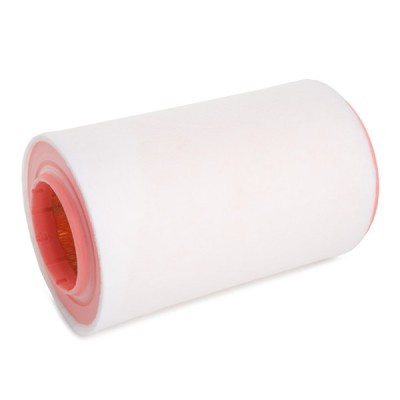 Luftfilter RIDEX 8A1641 8A1641 - foto 4