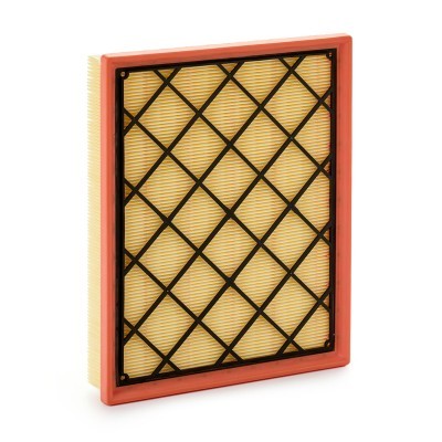 Luftfilter RIDEX 8A1663 8A1663 - foto 2