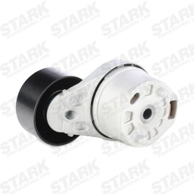 Spannarm Keilrippenriemen Stark SKTP-0600368 SKTP-0600368 - foto 7