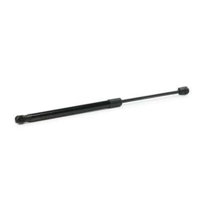 Gasfeder, Koffer-/Laderaum RIDEX 219G0197 219G0197 - foto 10