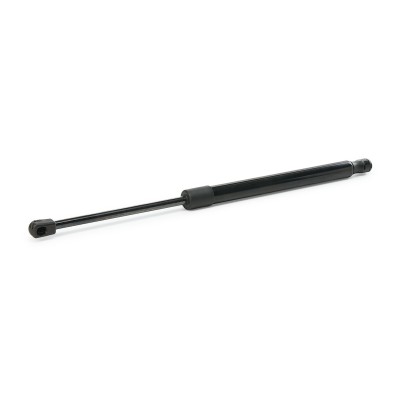 Gasfeder, Koffer-/Laderaum RIDEX 219G0023 219G0023 - foto 9