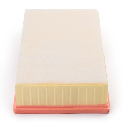 Luftfilter RIDEX 8A1613P 8A1613P - foto 6