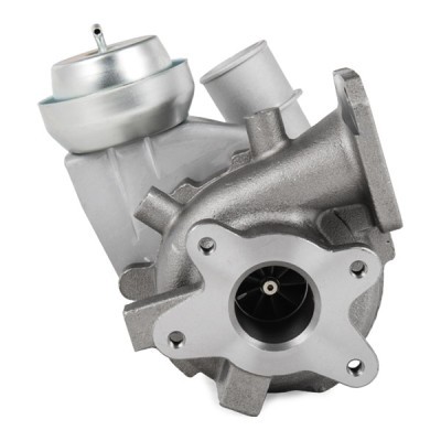 Turbolader RIDEX 2234C10009 2234C10009 - foto 6