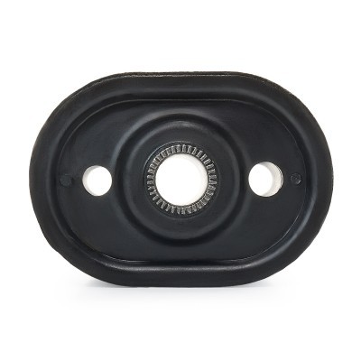 Lagerung, Blattfeder RIDEX 645B0010 645B0010 - foto 4
