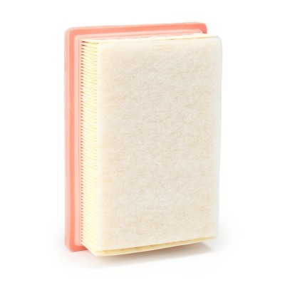 Luftfilter RIDEX 8A1856 8A1856 - foto 3