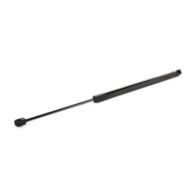 Gasfeder, Koffer-/Laderaum RIDEX 219G0905 219G0905 - foto 7