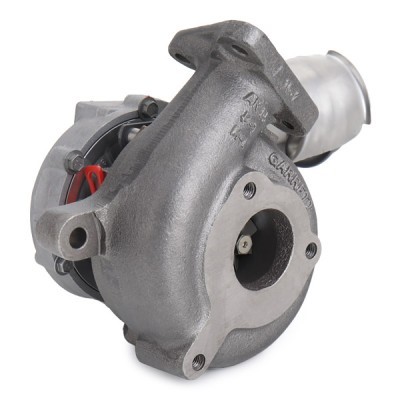 Turbolader RIDEX 2234C0495R 2234C0495R - foto 5