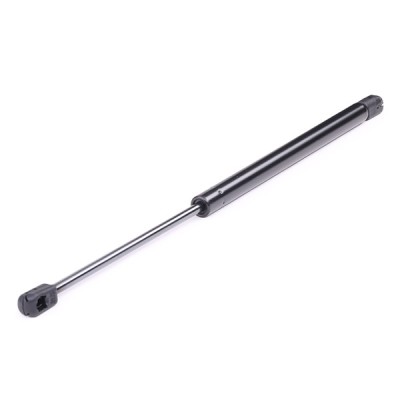 Gasfeder, Koffer-/Laderaum RIDEX 219G0313 219G0313 - foto 8