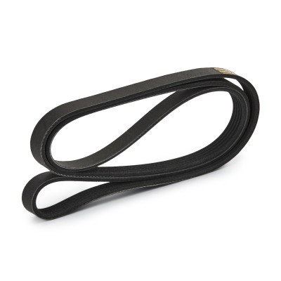 Keilrippenriemen RIDEX 305P0380P 305P0380P - foto 4